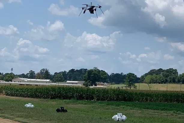 A drone hovering over three sets of 5 buckets (two set are white and one set are black), evenly spaced apart, that have been placed in front of a corn field on a cloudy day.