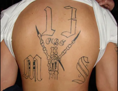 Elmer Hernandez-Leiva, a member of the Santa Cruz Salvatrucha Locos — an MS-13 gang based in Santa Cruz, California — was sentenced on Dec. 12 in the United States District Court, Northern District of California.