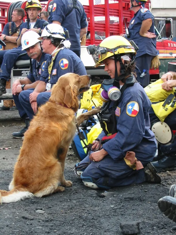 Bretagne the K9 canine search and rescue dog 