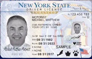 Enhanced Driver's License for International Travel
