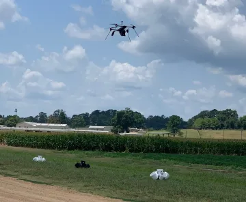 A drone hovering over three sets of 5 buckets (two set are white and one set are black), evenly spaced apart, that have been placed in front of a corn field on a cloudy day.