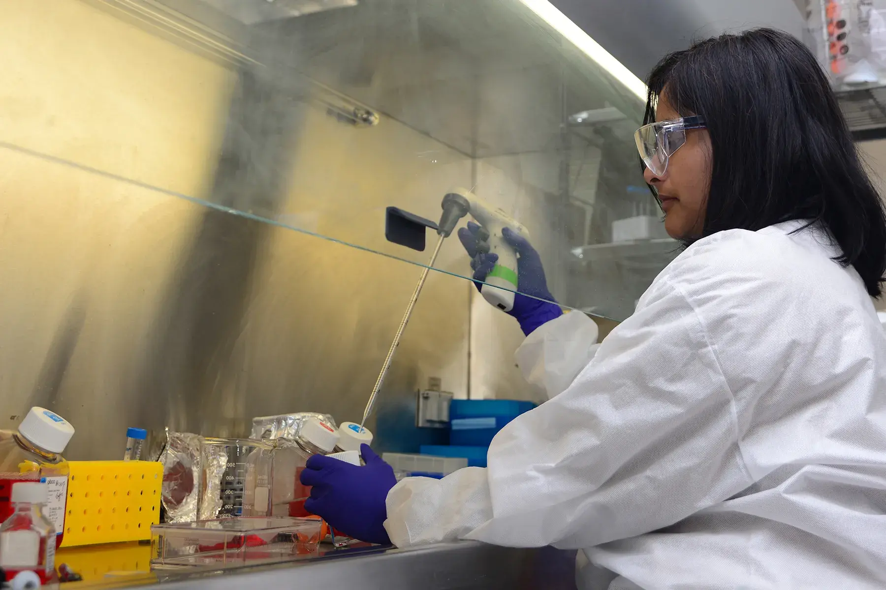 Plum Island researcher Ayushi Rai implants African swine fever virus into swine white blood cells for vaccine analyses. Photo by Kathleen Apicelli, PIADC.