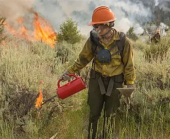 Feature Article: Saving Lives and Breath on Wildland Fire Line
