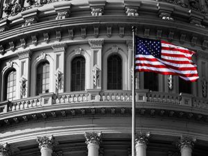 A photo of the U.S. Capitol Building